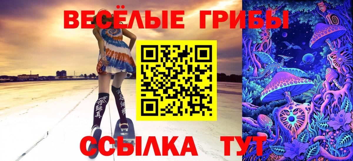 Ливны  Псилоцибиновые грибы Psilocybe  купить наркоту  Вход с VPN  Галлюциногенные грибы Psilocybine cubensis 