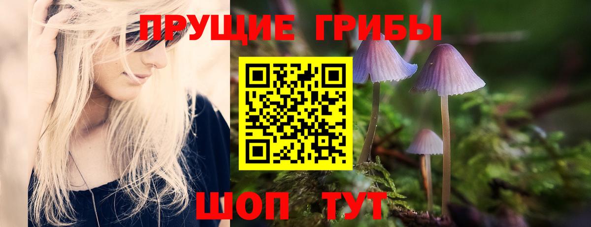 Галлюциногенные грибы Psilocybine cubensis Ливны